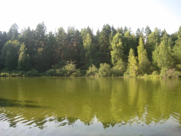 Дивеево