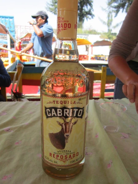 Не пей, Педро, козлёночком станешь!