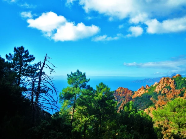 Le Calanche