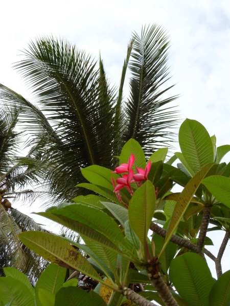 Ко Чанг