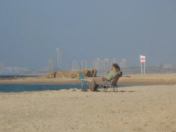 вот так сидеть невдалеке от большого города и смотреть на море...