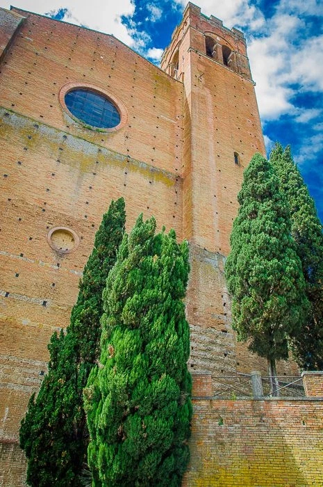 Базилика святого Доминика (Basilica di San Domenico)