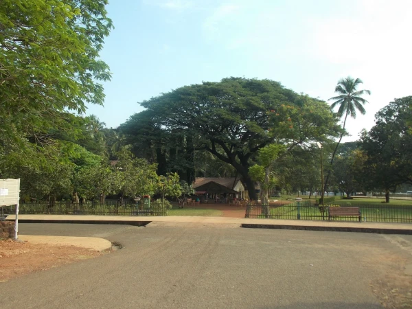  Экскурсия 1.Old Goa.