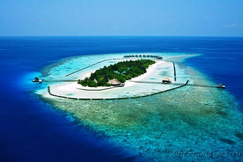 The-maldives.ru