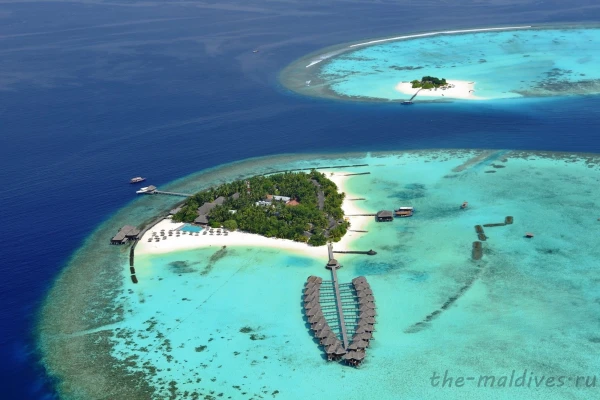 The-maldives.ru