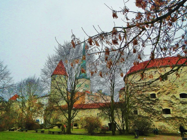  Таллин ,Толстая Маргарита