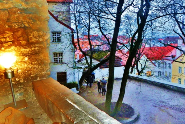 вид с башни