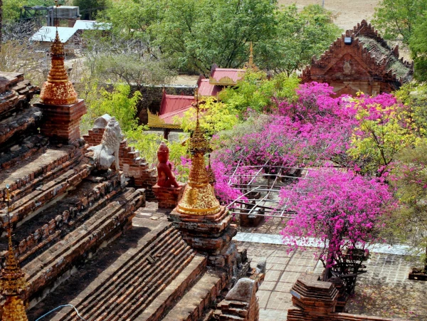 пагода Dhamma-ya-zi-ka