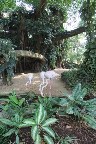 National Zoological Gardens