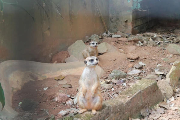 National Zoological Gardens