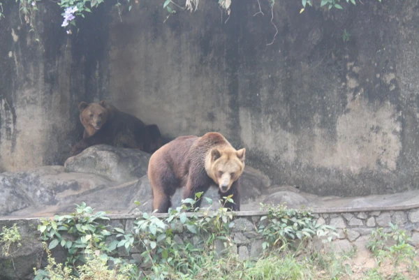 National Zoological Gardens