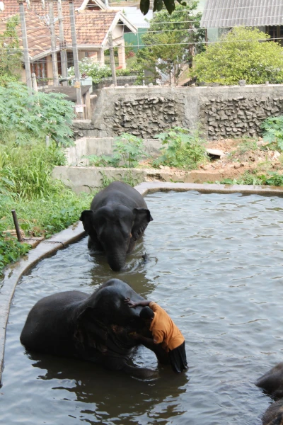 National Zoological Gardens