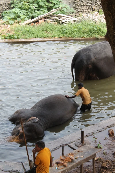 National Zoological Gardens