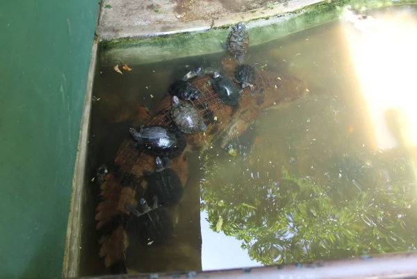 National Zoological Gardens