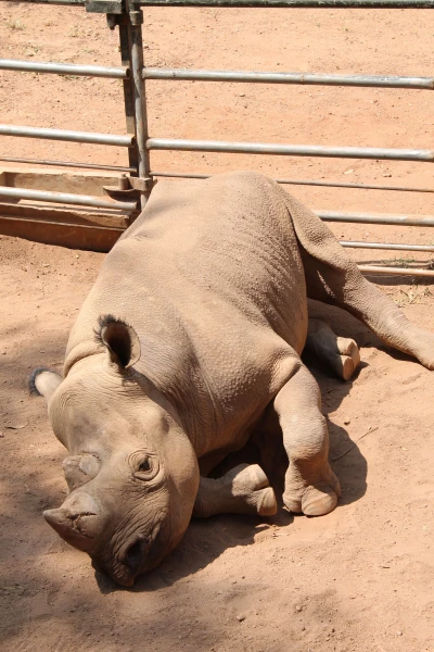 National Zoological Gardens