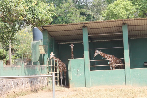 National Zoological Gardens