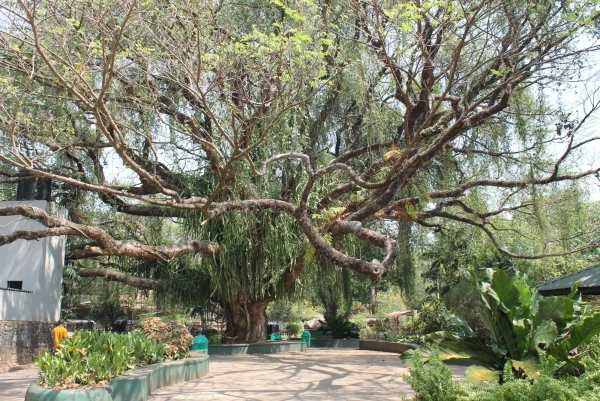 National Zoological Gardens