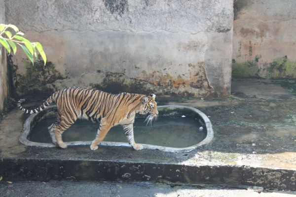 National Zoological Gardens