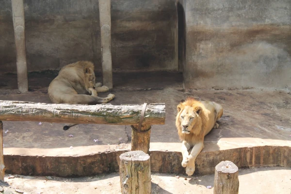 National Zoological Gardens