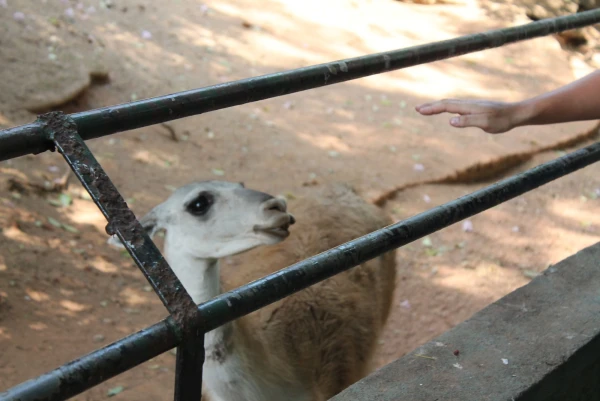 National Zoological Gardens