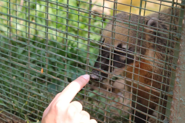 National Zoological Gardens