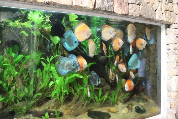 National Zoological Gardens