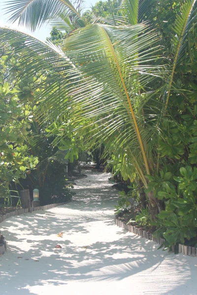 Необитаемый остров Maadhoo