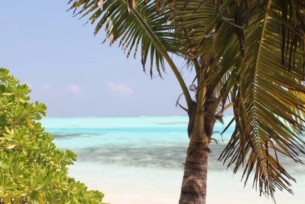 Необитаемый остров Maadhoo