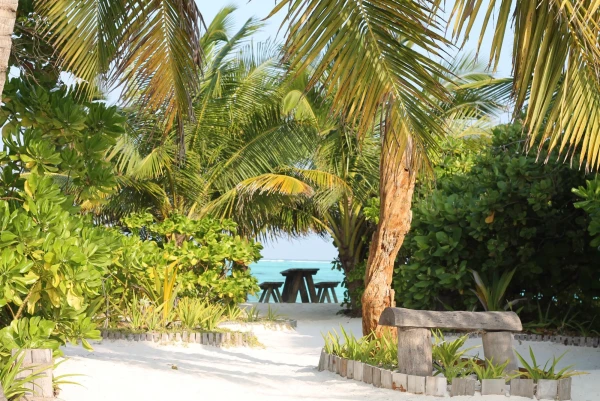 Необитаемый остров Maadhoo