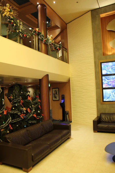 Атриум Costa neoRiviera 4* в рождественском стиле.