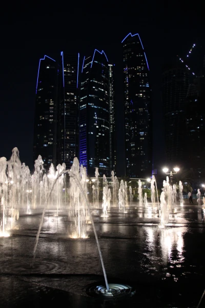 Фонтаны Emirates Palace Hotel 5*. 