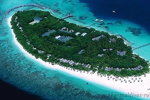 The-maldives.ru