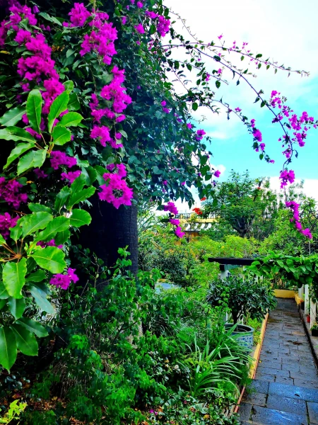 Частный ботанический сад  Jardín Sitio Litre 