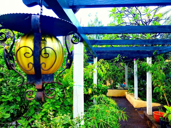 Частный ботанический сад  Jardín Sitio Litre 