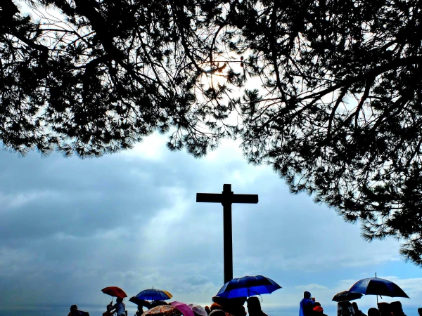 Pico dos Barcelos