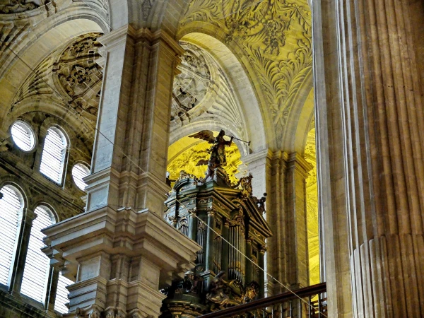 Интерьеры Кафедрального собора Cathedral  