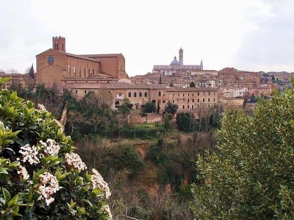 San Domenico, Duomo ...