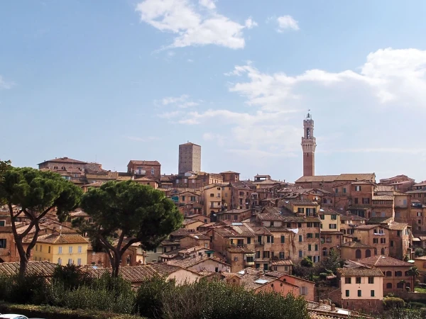 крыши и Torre del Mangia