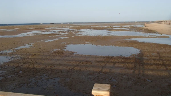 море соседней Стеллы во время отлива