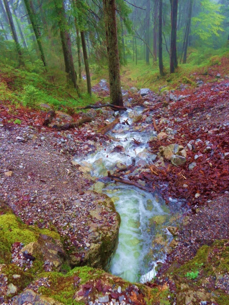 течет с альпийских гор вода...