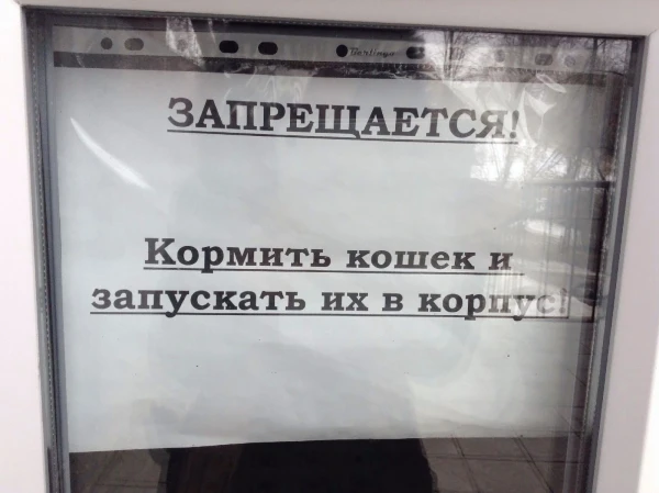 Объявление на дверях корпуса