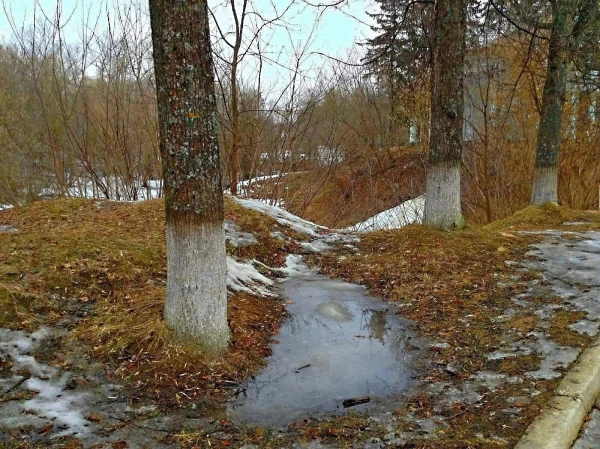 Территория санатория