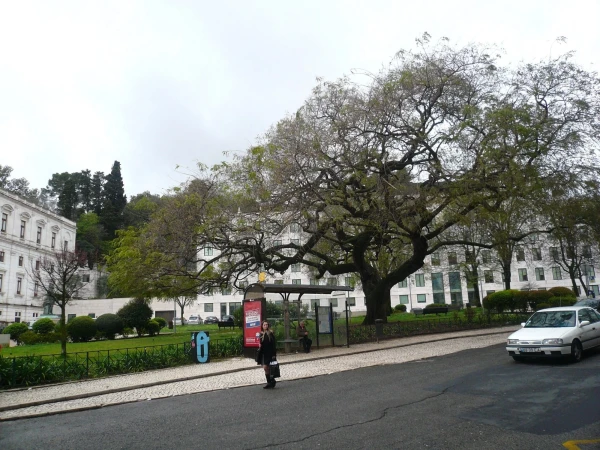 вверх по Rua de São Bento