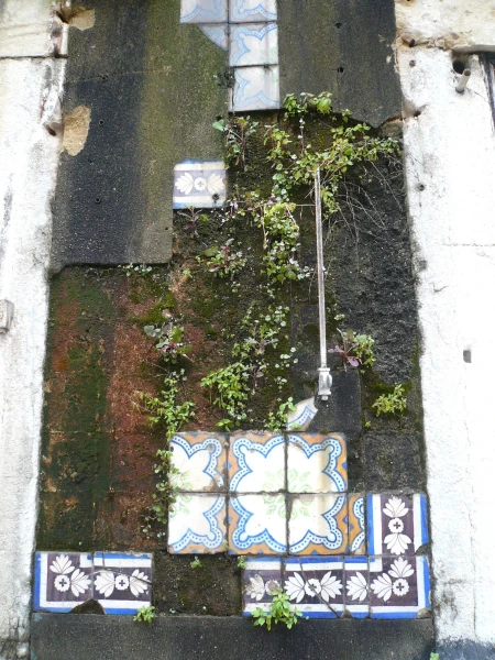 такая стена - Rua de São Bento