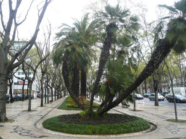 Avenida da Liberdade - Проспект Свободы