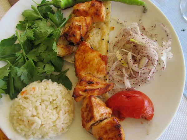 шашлык из курицы