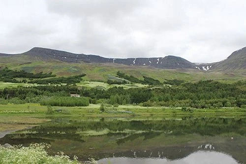 Квальфьерд