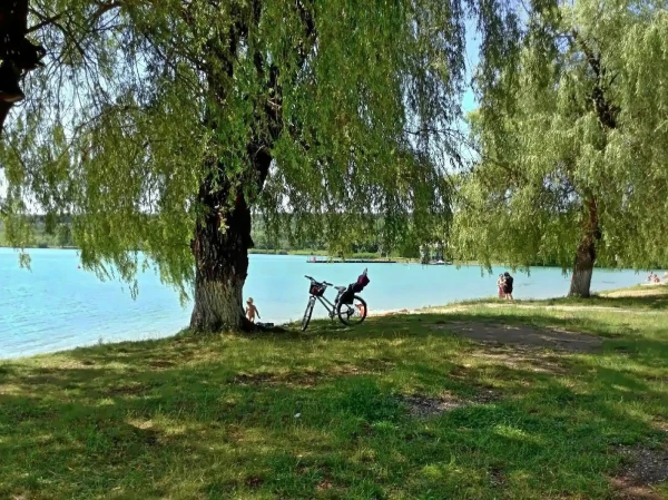 Вода теплая. Купаются..