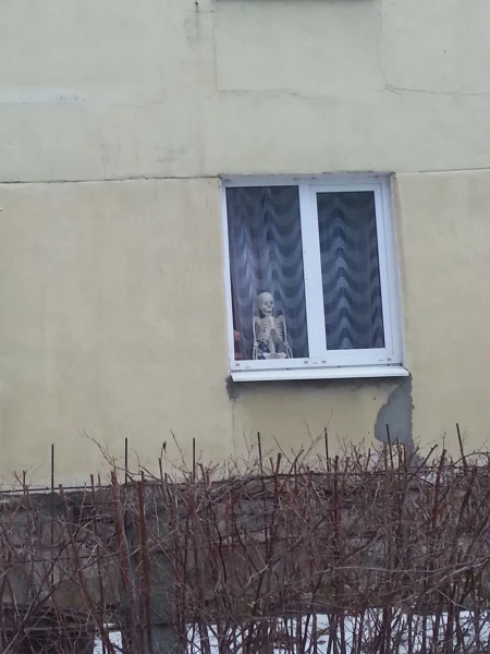дорога в отель - скелеты.... началось