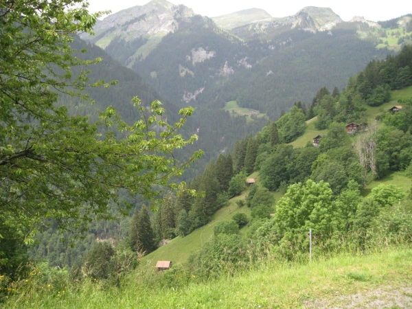 В горах